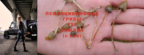 винт Баксан