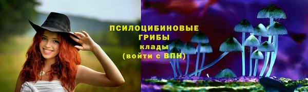 apvp Балабаново