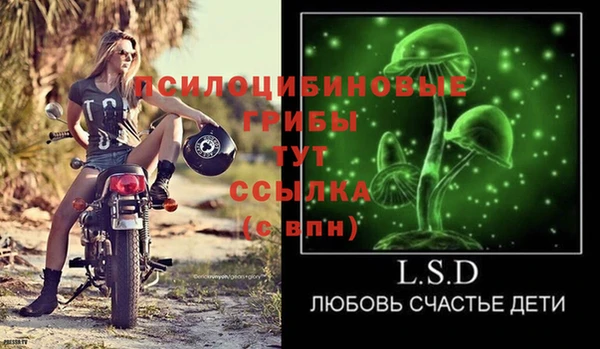 бошки Пересвет